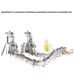Specilized in customized workshop automation production/assembly line